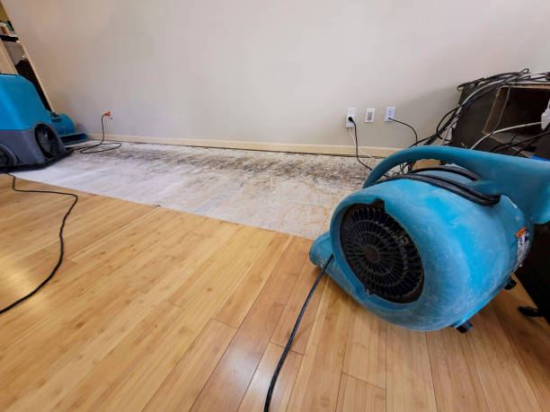 Professional Water Removal technician working in Miami Beach, FL